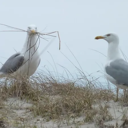 Brueggemann Nr 62 Fehmarn